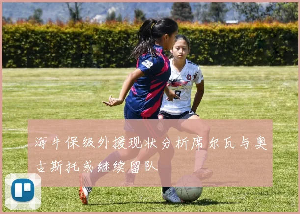海牛保级外援现状分析席尔瓦与奥古斯托或继续留队