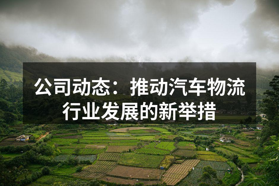 汽车物流运输现场