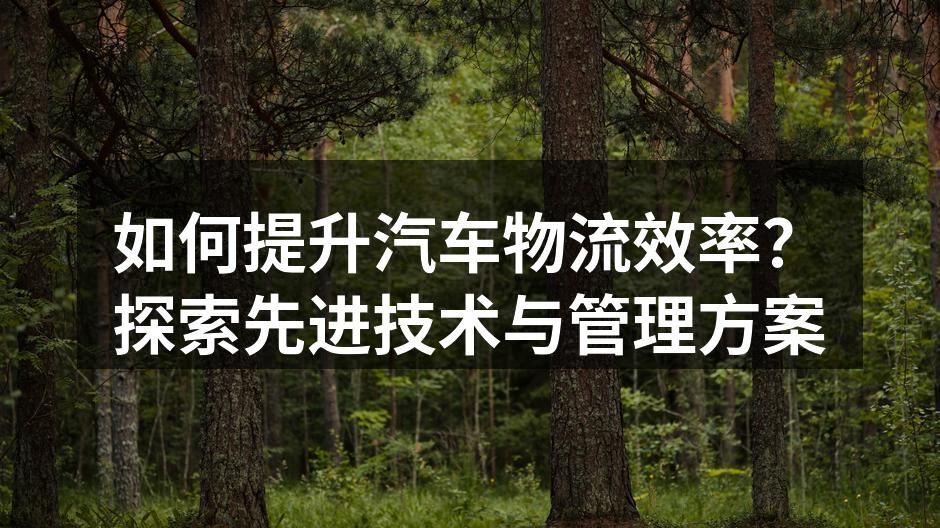 先进的自动化仓库提升物流效率